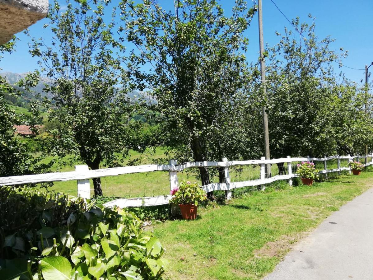 La Casa Nueva Alojamiento Rural Cereceda  Dış mekan fotoğraf