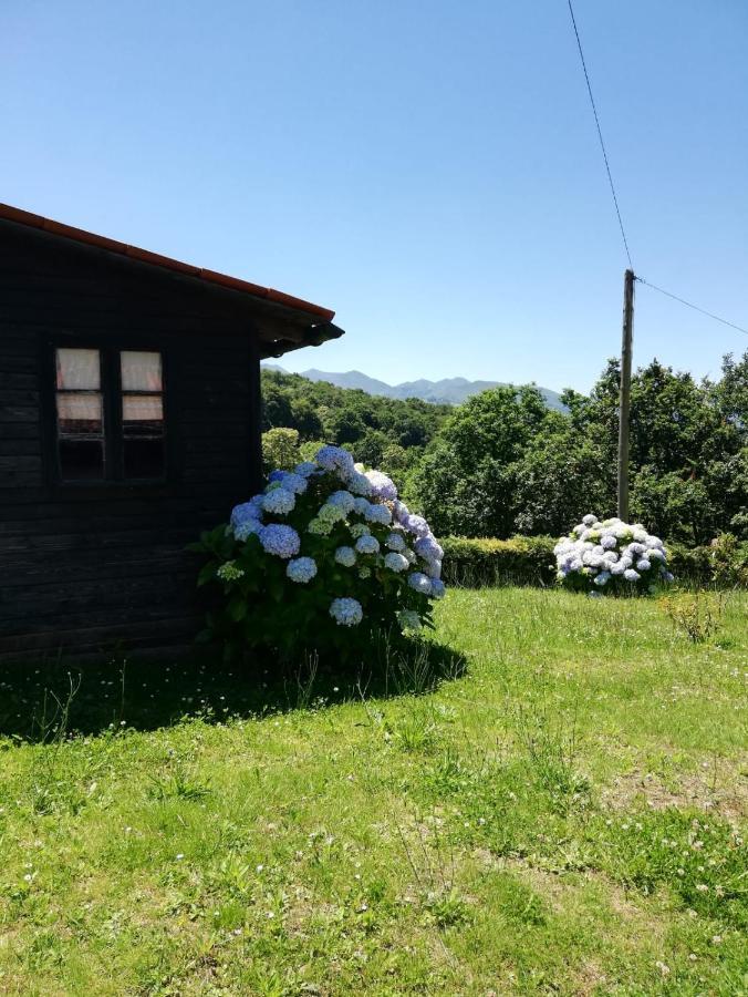 La Casa Nueva Alojamiento Rural Cereceda  Dış mekan fotoğraf