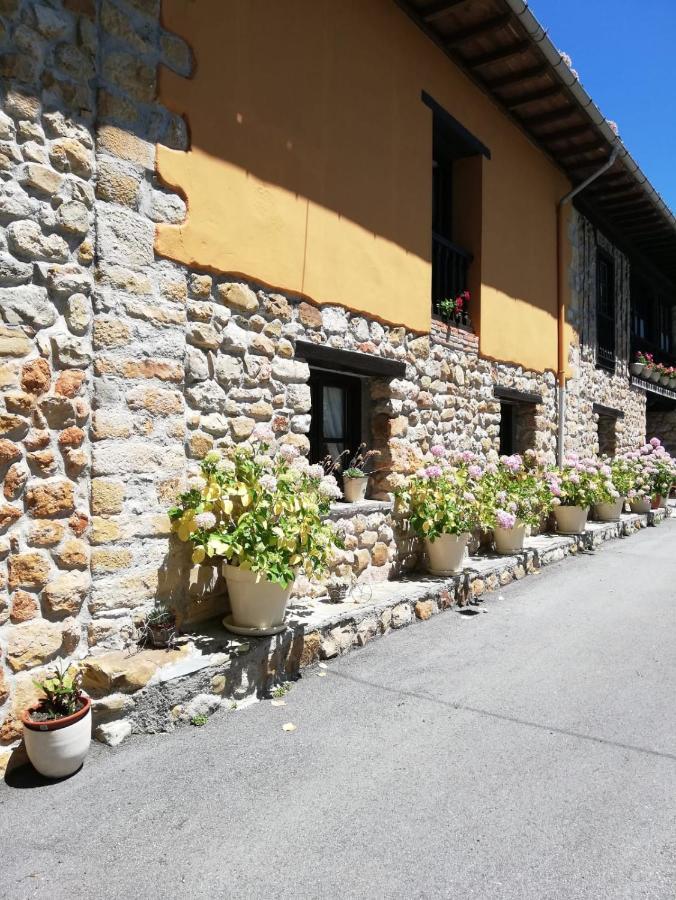 La Casa Nueva Alojamiento Rural Cereceda  Dış mekan fotoğraf