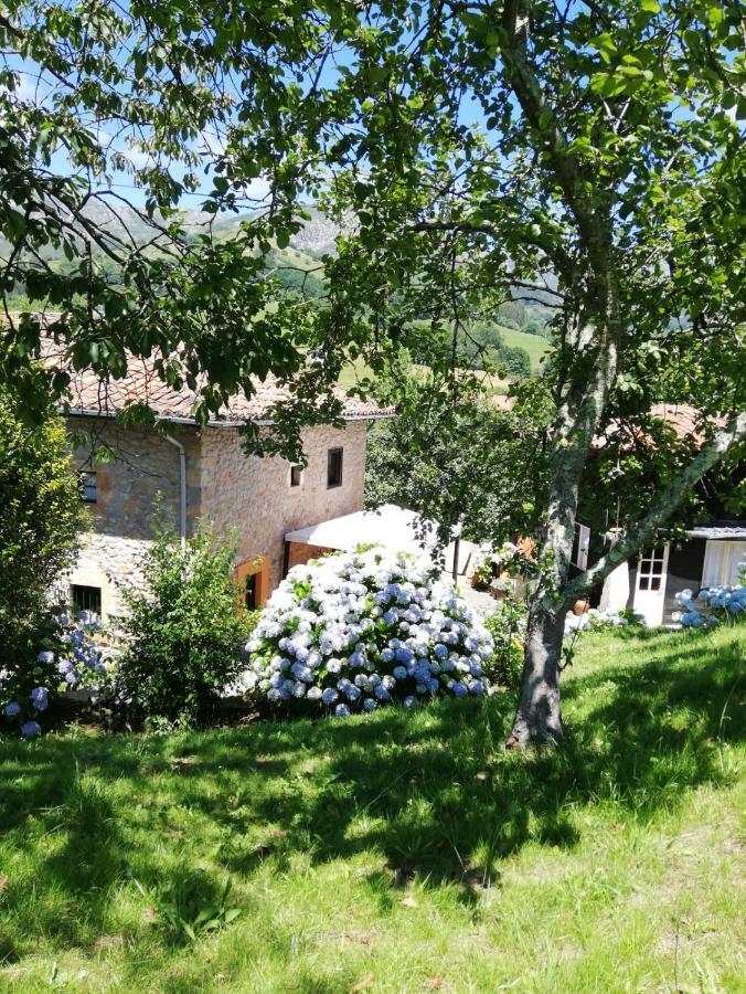 La Casa Nueva Alojamiento Rural Cereceda  Dış mekan fotoğraf