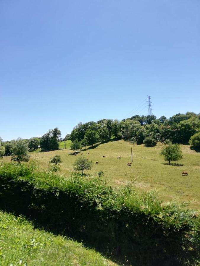 La Casa Nueva Alojamiento Rural Cereceda  Dış mekan fotoğraf