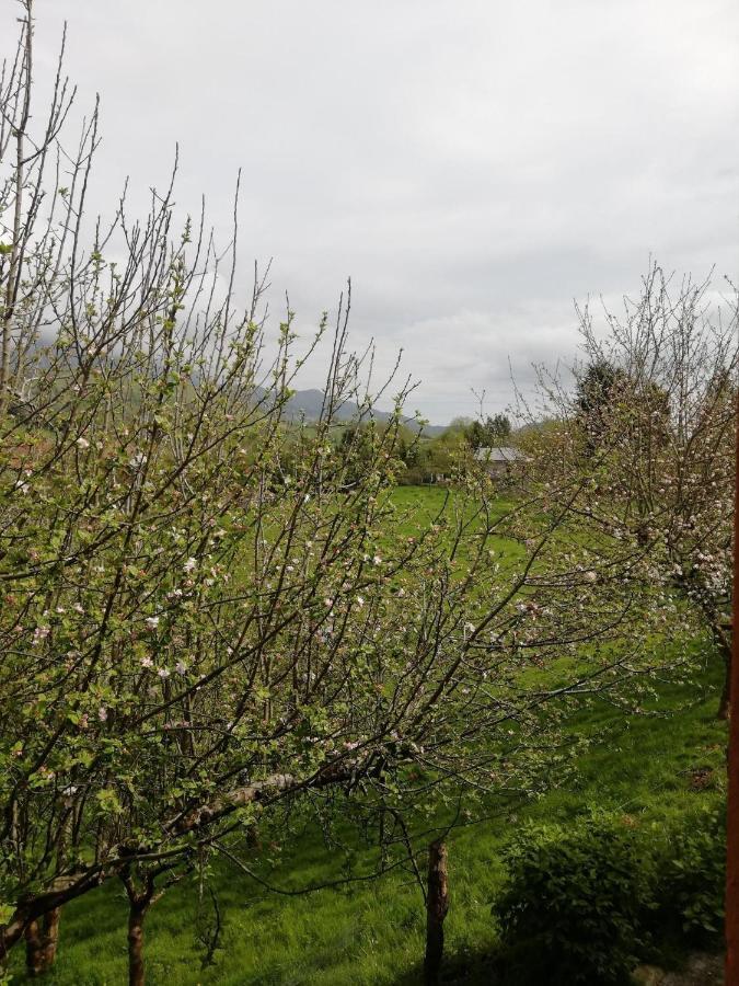 La Casa Nueva Alojamiento Rural Cereceda  Dış mekan fotoğraf