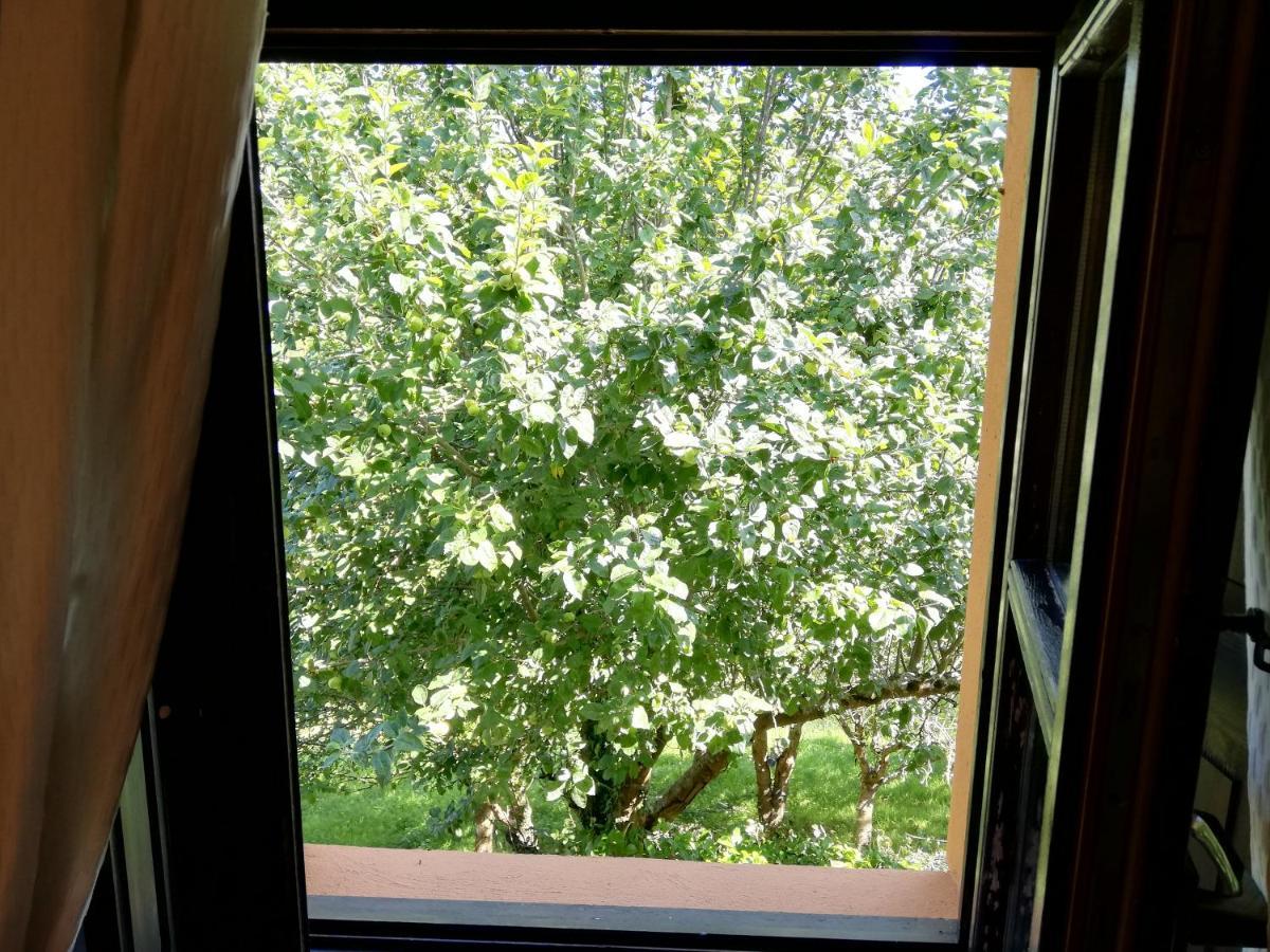 La Casa Nueva Alojamiento Rural Cereceda  Dış mekan fotoğraf