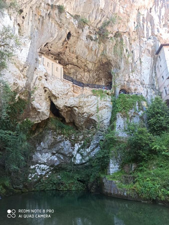 La Casa Nueva Alojamiento Rural Cereceda  Dış mekan fotoğraf