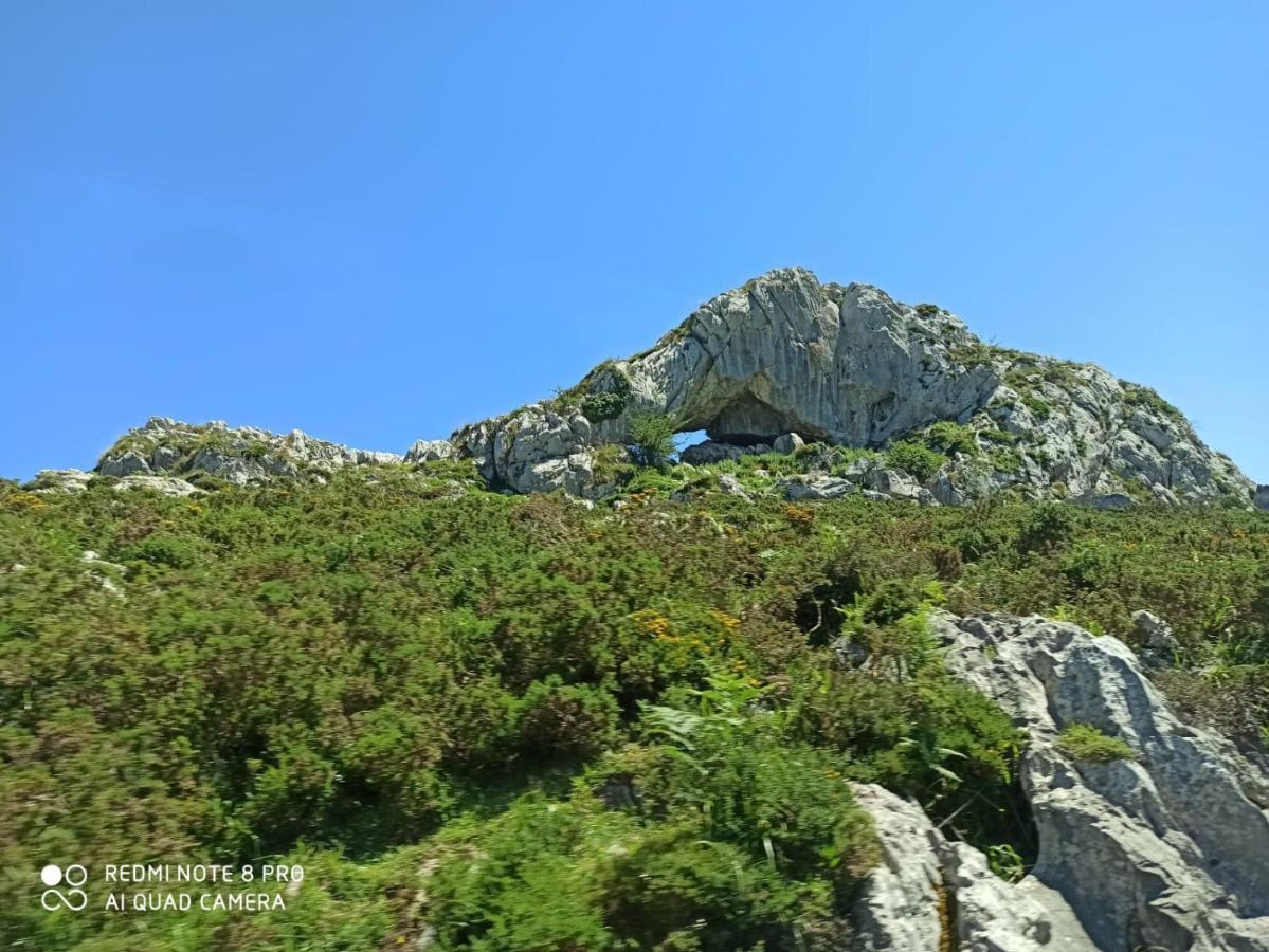 La Casa Nueva Alojamiento Rural Cereceda  Dış mekan fotoğraf
