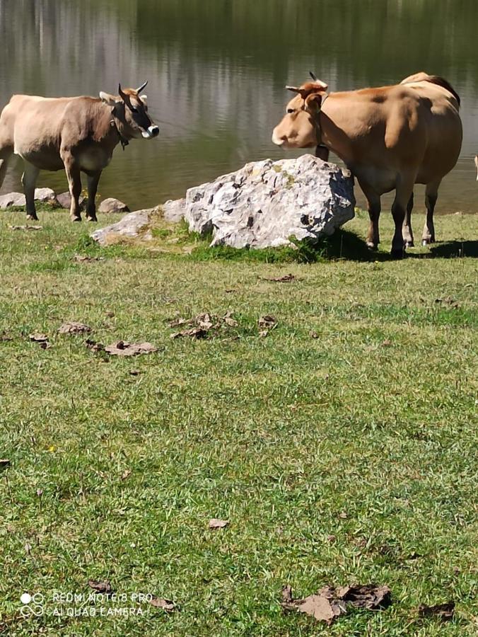 La Casa Nueva Alojamiento Rural Cereceda  Dış mekan fotoğraf