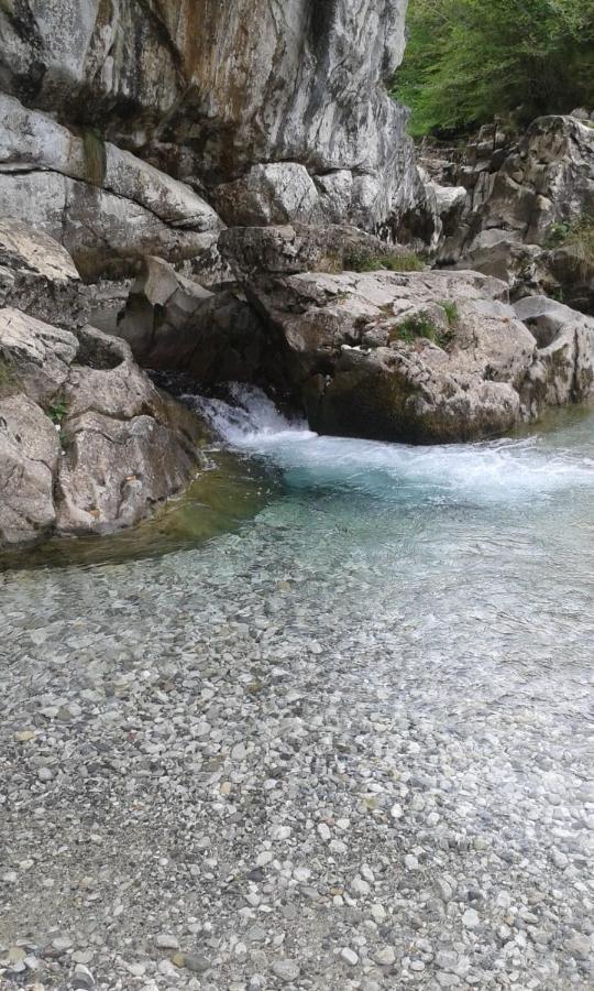La Casa Nueva Alojamiento Rural Cereceda  Dış mekan fotoğraf