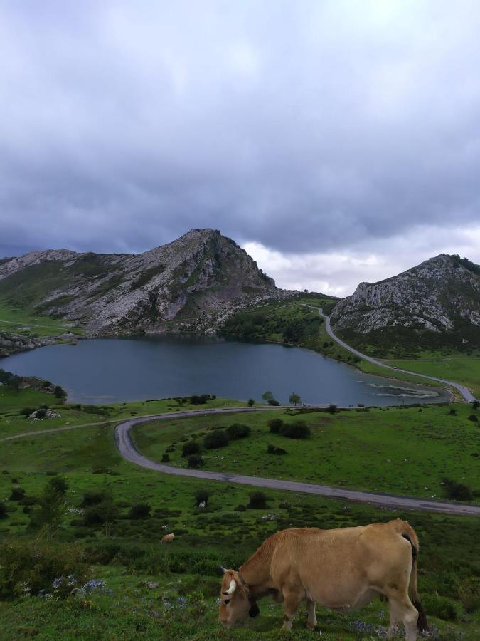 La Casa Nueva Alojamiento Rural Cereceda  Dış mekan fotoğraf