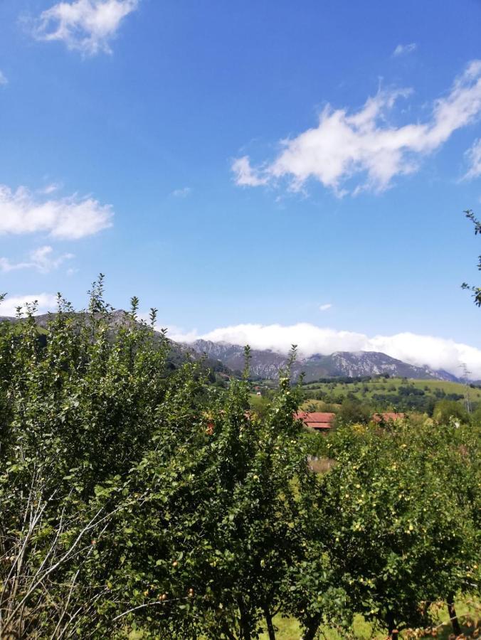 La Casa Nueva Alojamiento Rural Cereceda  Dış mekan fotoğraf
